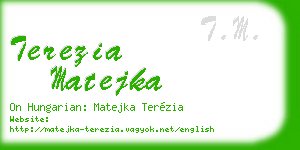 terezia matejka business card